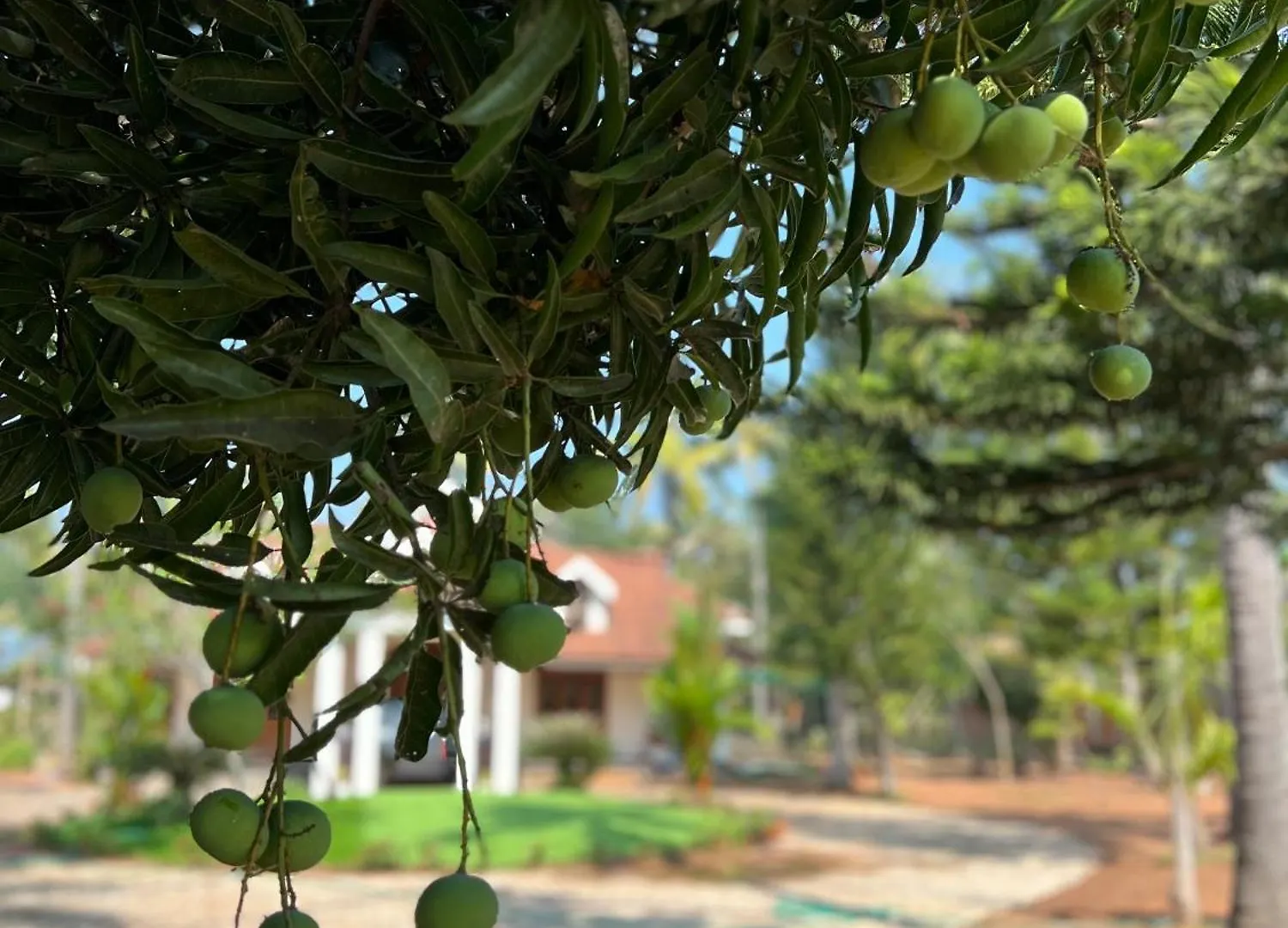 Σαλέ Mannat Villa Kollam